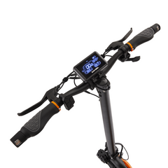 PATINETE ZCOUGAR DUO DGT